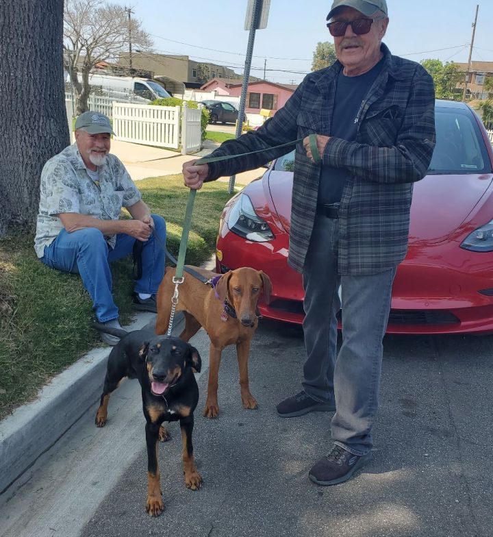 Kelly ADOPTED 1