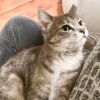 Tobia - No Longer Accepting Applications