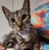 Shilo photo 3