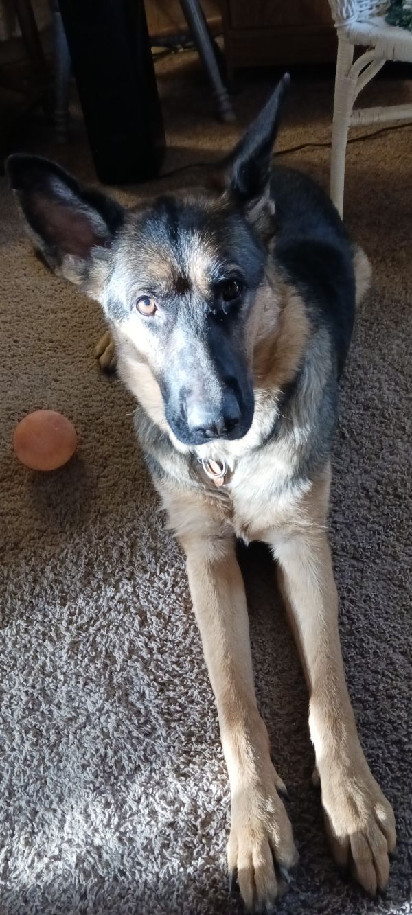Macy