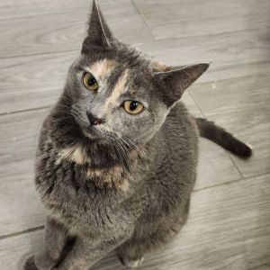 Photo of Smokey
