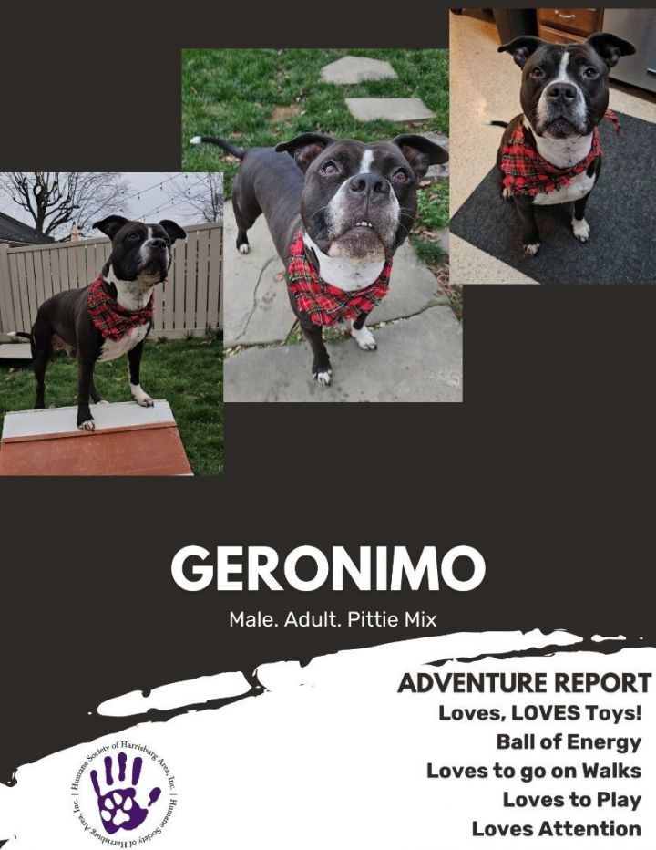 Geronimo  3