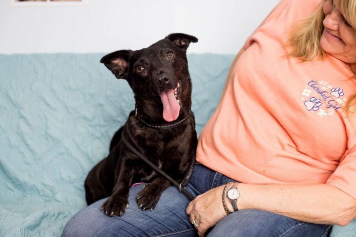 Millie pup- Lucky 2