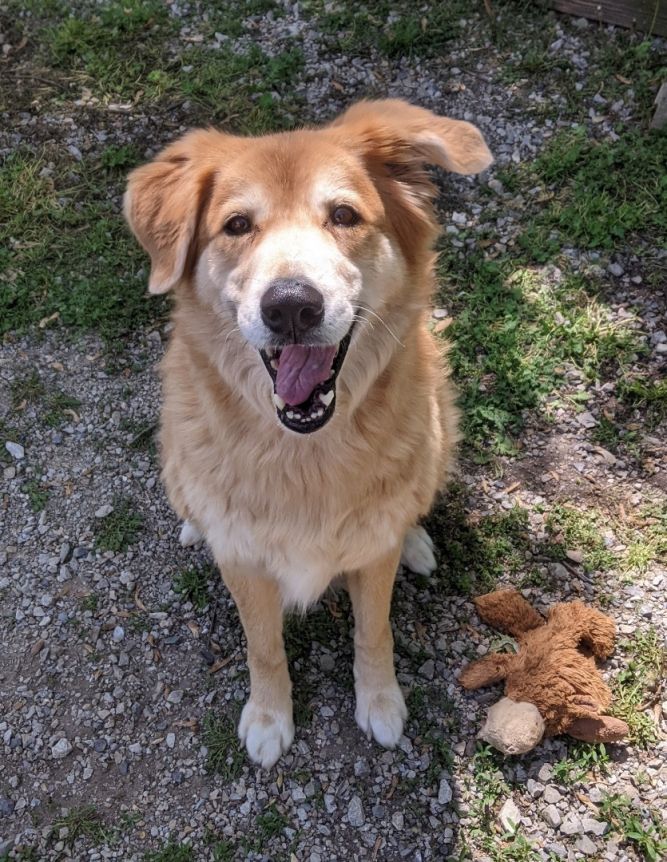 Maggie