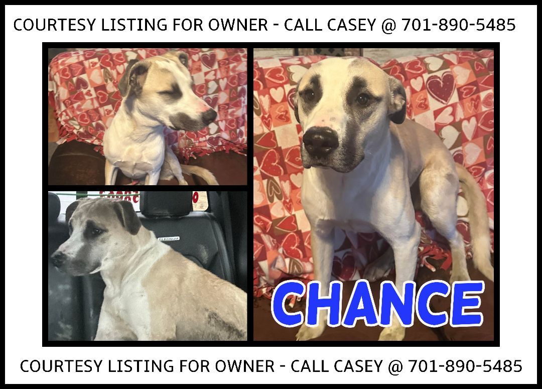 Chance - COURTESY LISTING FOR OWNER
