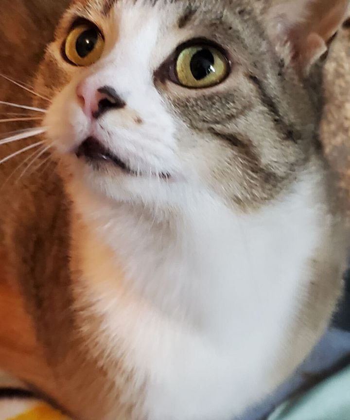 Molly 2