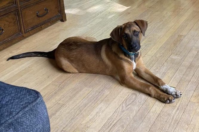 Scooter *HERE IN NH*