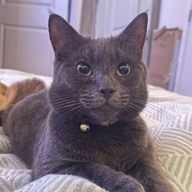 Pru