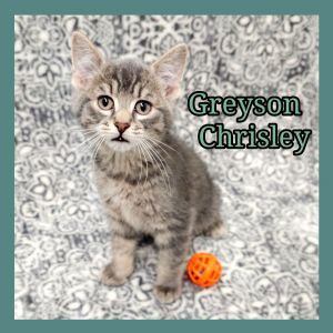 Grayson Chrisley 
