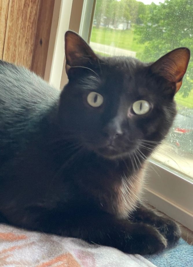 Blackie