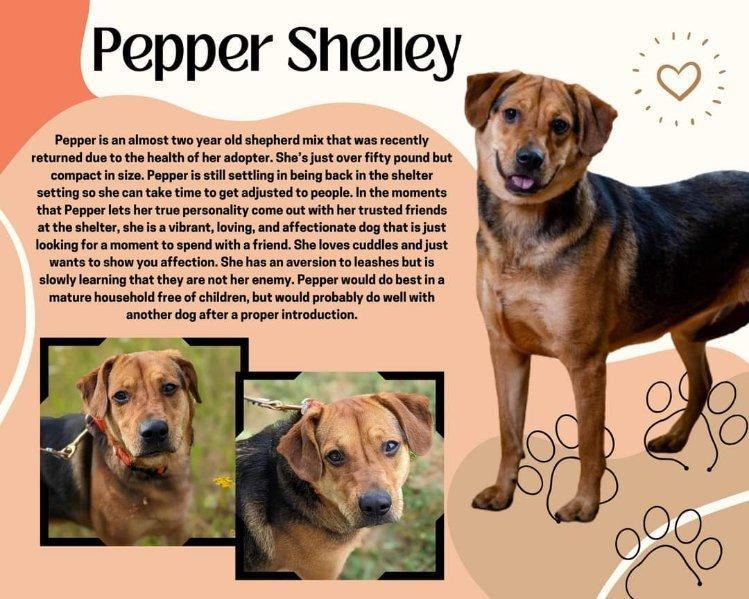 Pepper Shelley