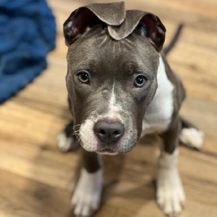 Sky (aka Athena) 4