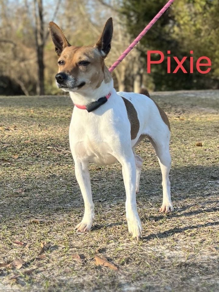Pixie 3