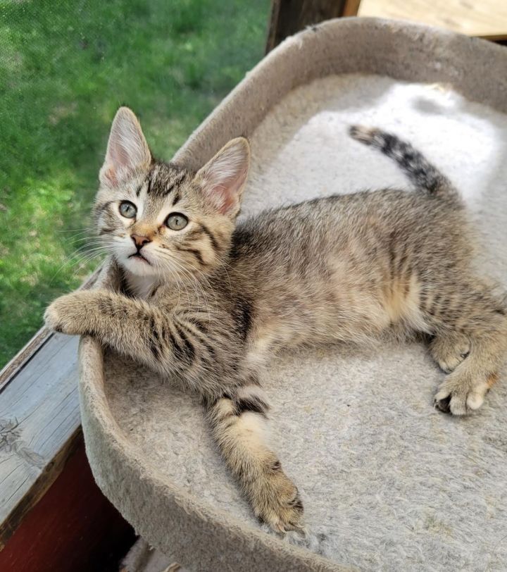 Munchkin 2