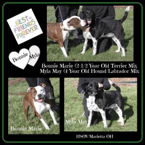 Bonnie Marie & Myla May (Bonded Pair)