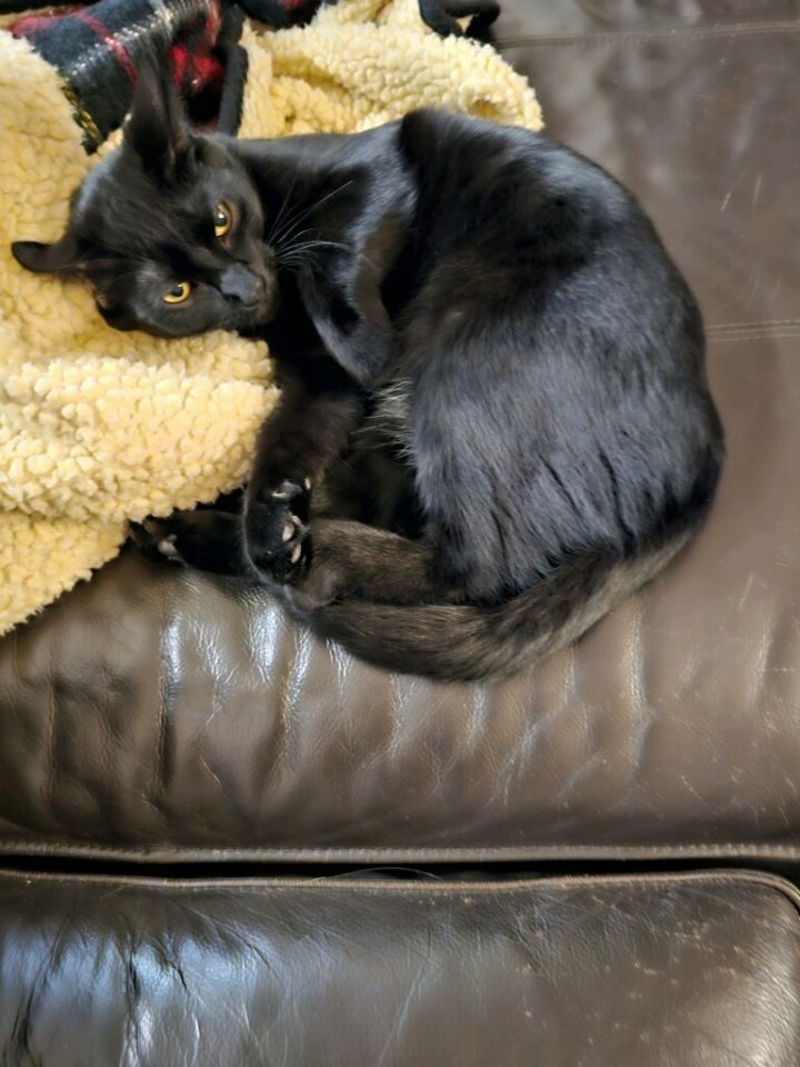 Tobie (October) 1