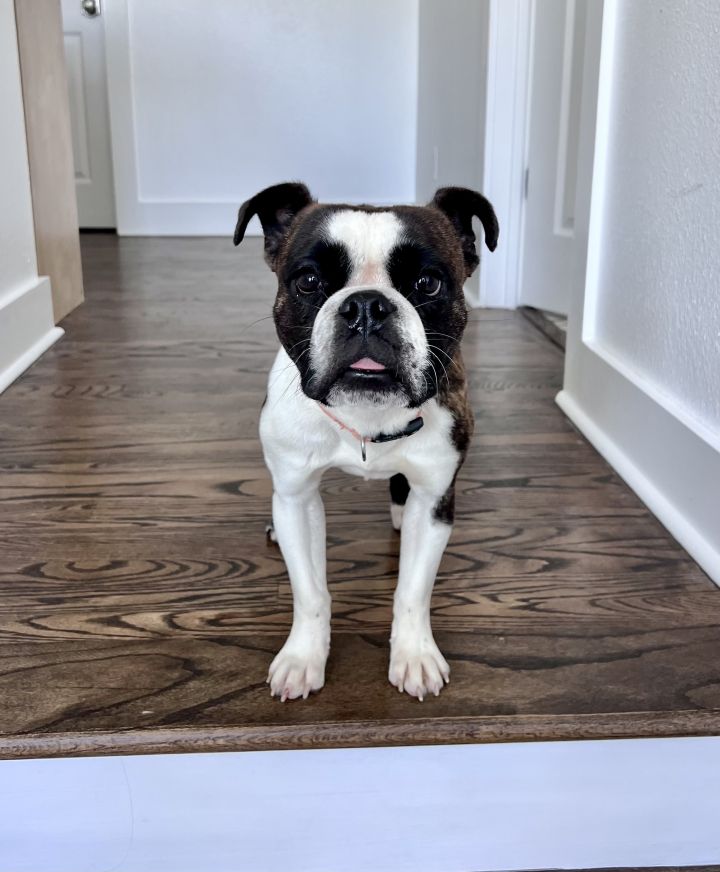 Riley 5