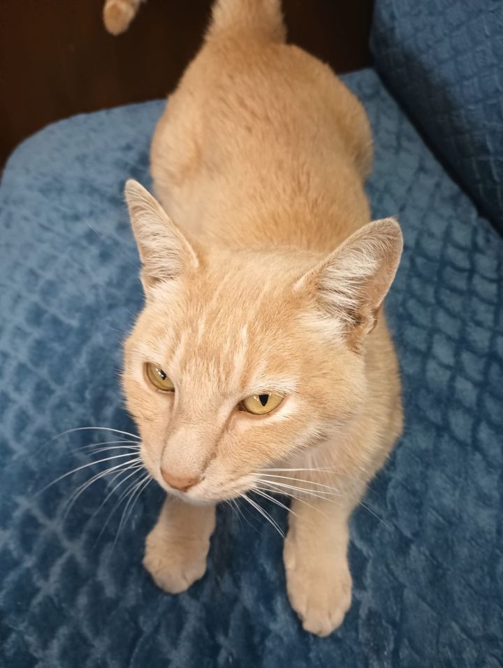 Charlie 1