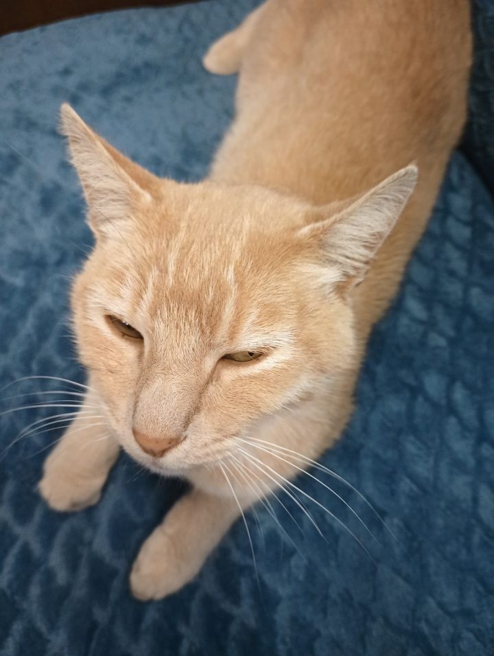 Charlie 2