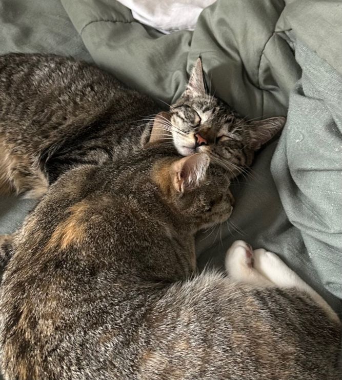 Peppercorn & Nala