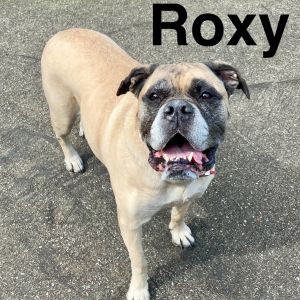 Roxy