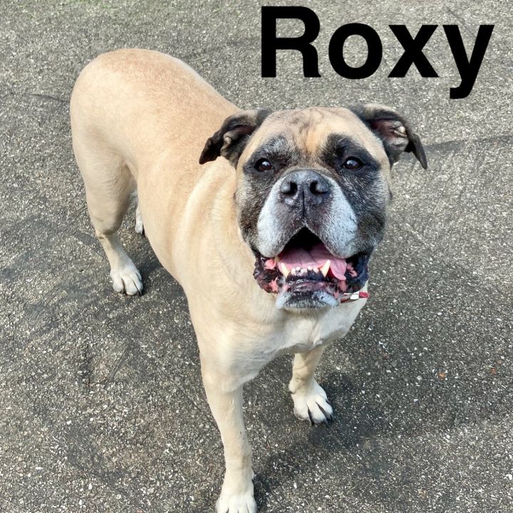 Roxy 2