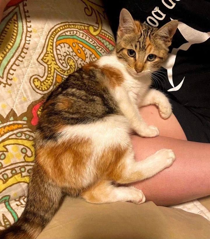 Sushi (In Foster Home) 1