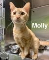 Molly