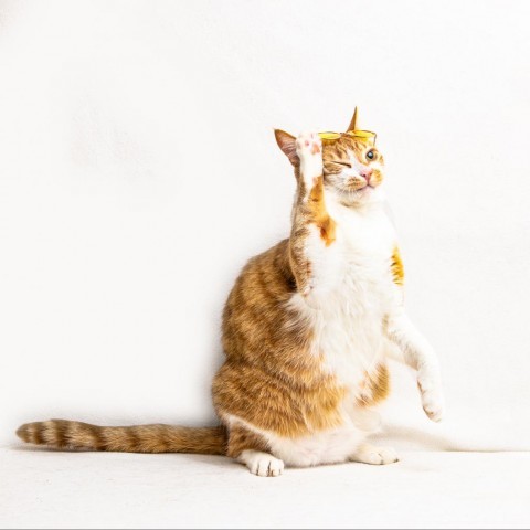 Amber