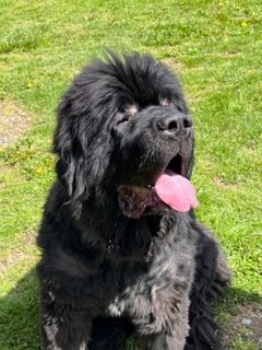 George