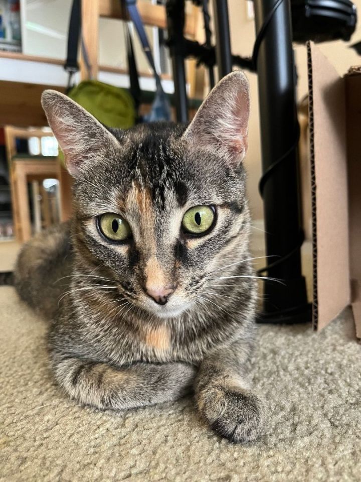 Mama Celeste 2