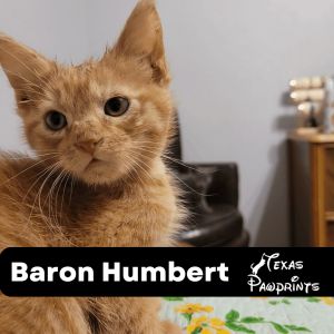 Baron Humbert