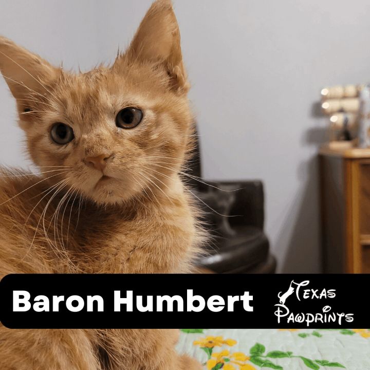 Baron Humbert 1