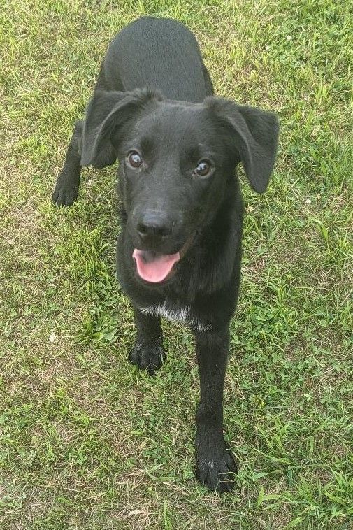 Jax