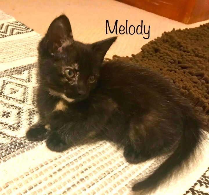 Melody (sister of Harmony) 2