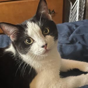 Hi Im Toots Im a shy girl that takes some time to trust the people that care 