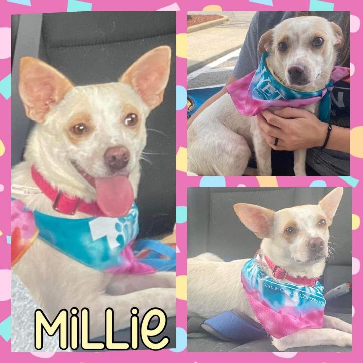 Millie 2