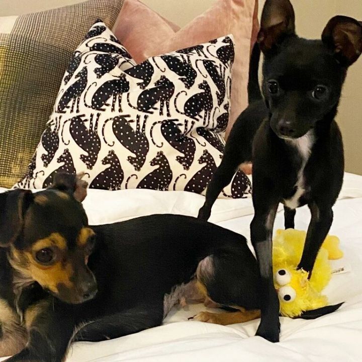 Lincoln and Kia aka Keke 5