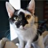 Uh-Huh (MY ADOPTION FEE IS SPONSORED)