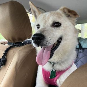 Photo of Nimbus