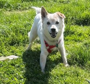 Photo of Nimbus