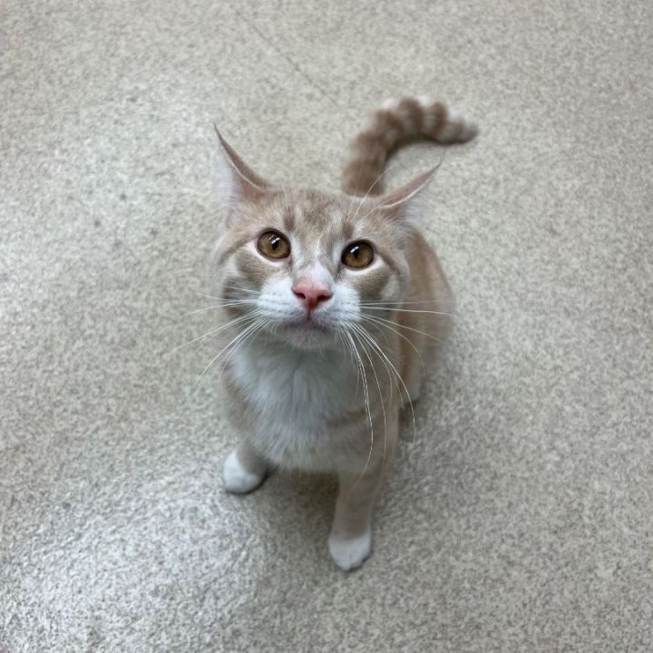 Nibbles 2