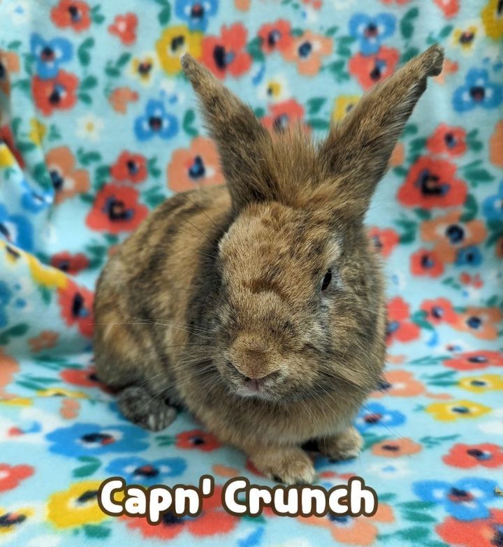Captain Crunch 1