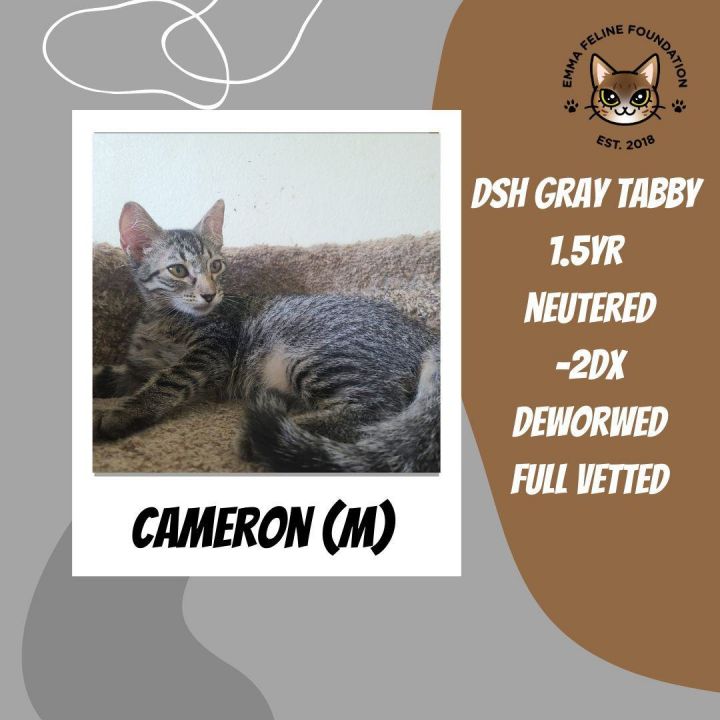 Cameron 1
