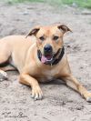 Luna Bean photo 2