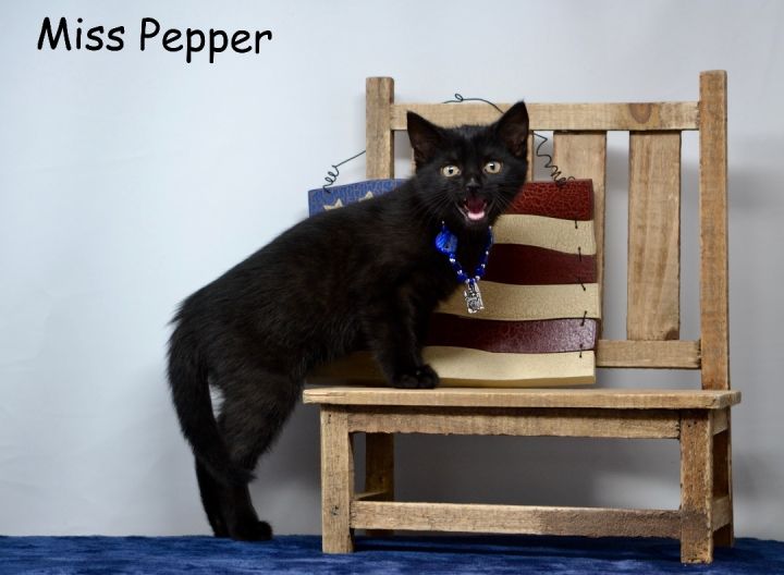 Miss Pepper 1
