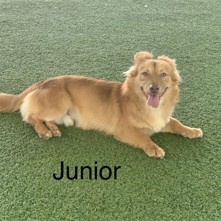 Junior 2