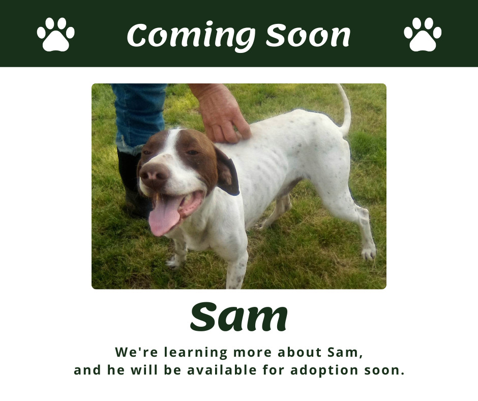 Coming Soon Sam (TX)
