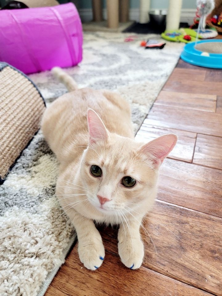 Bruce 5