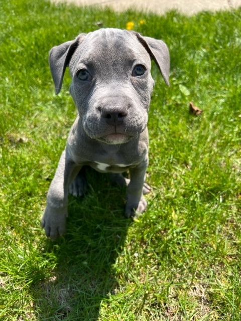 Rocket 1